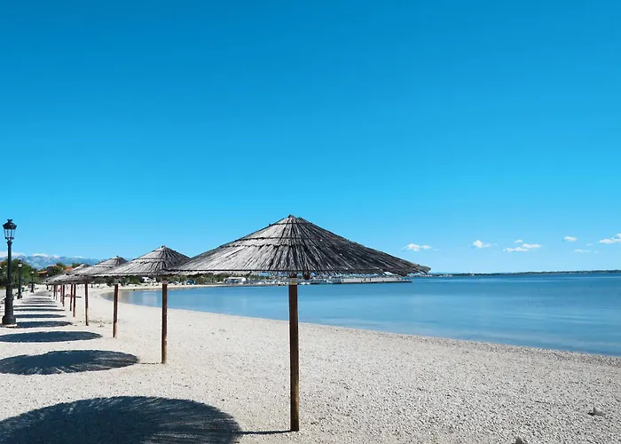 Simic 6 By Interhome * Вир